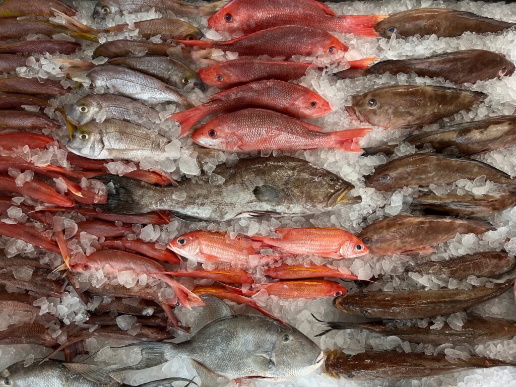 Don's Dock – Seafood Market, Bait, Marina, Fuel, Ice, Fish